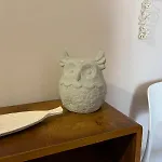 Intrabartolo 3*
